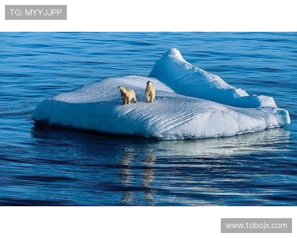 全球气候变化加速，科学家警告海平面上升趋势将影响数亿人口生活