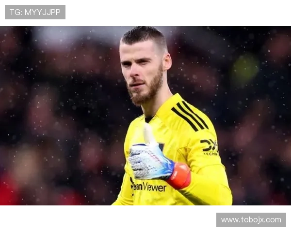 霍德本赛季英超表现稳健，状态持续提升